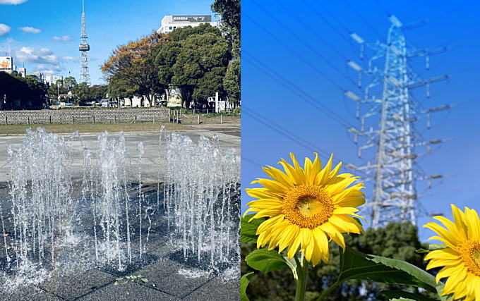 名古屋の夏