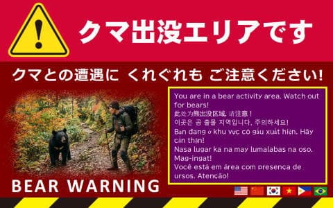 クマの出没情報のお知らせチラシ