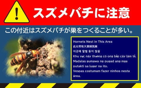 スズメバチに注意チラシ