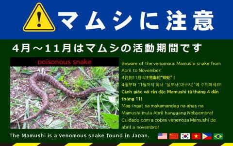 マムシに注意チラシ