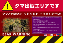 クマ目撃情報を知らせるチラシ