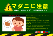マダニに注意チラシ マダニに注意チラシ