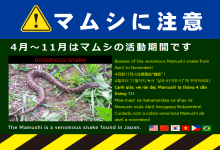 マムシに注意チラシ マムシに注意チラシ