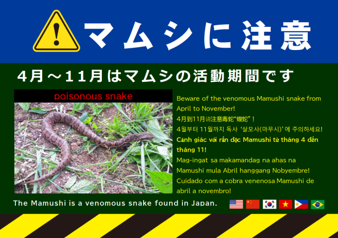マムシに注意のチラシ（多言語で併記）