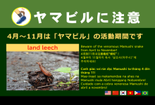 ヤマビルに注意チラシ ヤマビルに注意チラシ